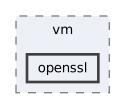 src/vm/openssl